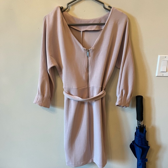 Dynamite Light Pink Dress w/ Removable Tie - Picture 3 of 4